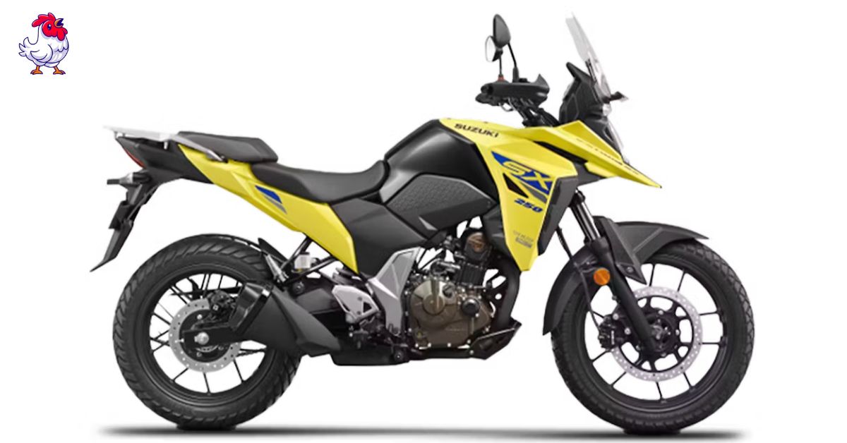 Suzuki V-Strom SX 250: A True Urban Explorer with Adventure DNA